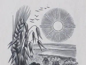 Dirk van Gelder - Zomer - Gravure kopen? Bied vanaf 1!