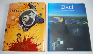 Salvador Dali - 2 hardcovers, waarvan 1 met een kleurenlitho (31x44 cm) kopen? Bied vanaf 150!