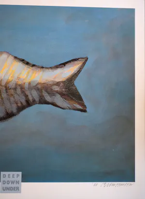 Taco Meeuwsen - Kleurenzeefdruk - Deep Down Under kopen? Bied vanaf 45!