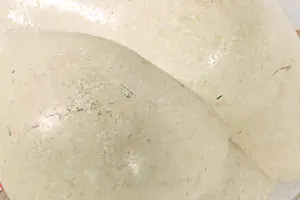 Paul van der Wegen - natuurstenen sculptuur, Tors (Zwaar!) kopen? Bied vanaf 1!