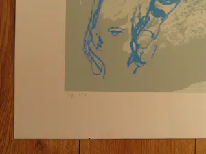 Jan van Diemen - IJshockey kopen? Bied vanaf 30!