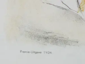 Jan Sluijters - Baby met rode strik - Kleurenlitho kopen? Bied vanaf 50!