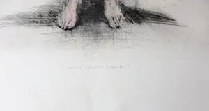 Geurt van Dijk - Idool zonder handen kopen? Bied vanaf 25!