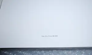 Pieter Bijwaard - Boek, 2x gesigneerd, genumm.336/500-met gouache, foto, 5 drukwerken en 2x CD kopen? Bied vanaf 25!