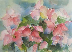 Willie van Haard - Aquarel, Kerstster kopen? Bied vanaf 1!