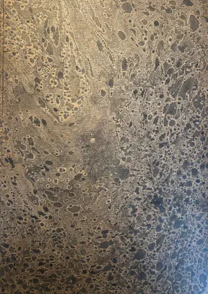 Geurt van Dijk - Psapsabloem. een keuze uit het grafische werk van Geurt kopen? Bied vanaf 35!