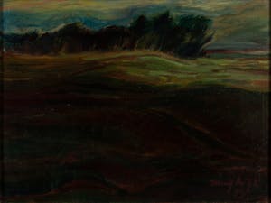 Pieter- Dirk Muylwijk - Landschap - 1973 - olieverf op doek - BKR Ferwerderadeel kopen? Bied vanaf 20!