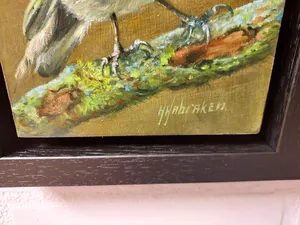 Hans Habraken - Vink op tak kopen? Bied vanaf 175!