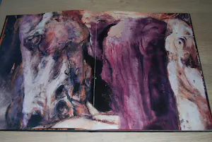 Gerti Bierenbroodspot - 2 boeken, 1 gesigneerd - gratis verzonden kopen? Bied vanaf 50!