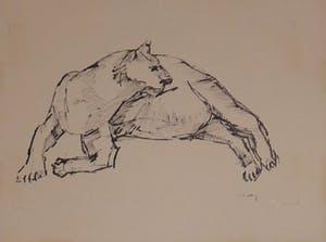 Wim Motz - 4 tekeningen van leeuwen/leeuwinnen kopen? Bied vanaf 50!