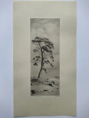 Dirk Harting - Duinlandschap kopen? Bied vanaf 40!