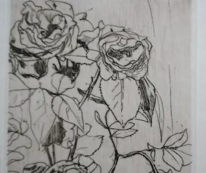 Floris Verster - Rozen kopen? Bied vanaf 65!