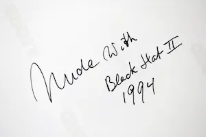 Pim Westerweel - Nude with black hat 1994 kopen? Bied vanaf 100!