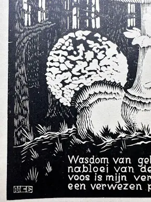 Maurits Cornelis Escher - Paddenstoel kopen? Bied vanaf 1250!