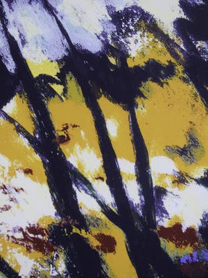 Mattie Schilders - Vormende hand van evolutie - Ingelijst - Groot kopen? Bied vanaf 50!