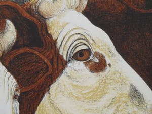 Carolein Smit - Carolien Smit kopen? Bied vanaf 100!