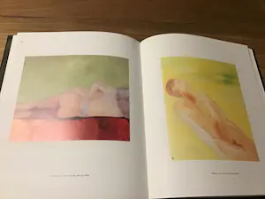 Diana Kortbeek - Beelden en schilderijen kopen? Bied vanaf 20!