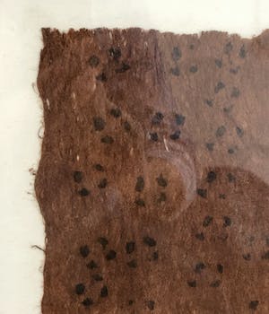 Niet of onleesbaar gesigneerd - Afrikaans hand-printed op vezeldoek kopen? Bied vanaf 1!
