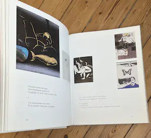 Hugo Claus - Set van 4 boeken: Hugo Claus Imagier + Bozar catalogus + Thyeste + Cobra Roman kopen? Bied vanaf 75!