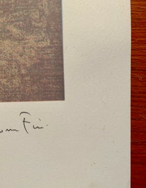 Leonor Fini - La fille Médiévale kopen? Bied vanaf 30!