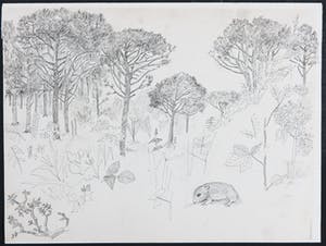 Margot Hudig-Heldring - Pentekening, Plantenstudies met knaagdier kopen? Bied vanaf 1!