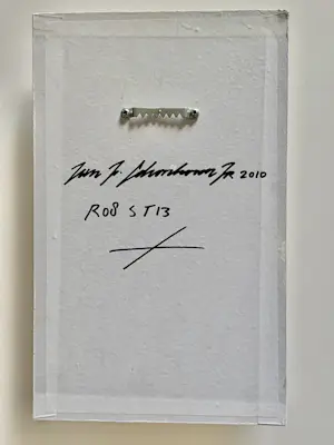 Jan Schoonhoven Jr. - 2010 R08 ST13 kopen? Bied vanaf 320!