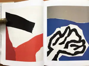 Constant - "Grafiek" - 2004 - Gebonden hardcover - 232 pag's - Uitstekende conditie (+ 1) kopen? Bied vanaf 75!