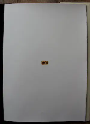 Jan van Munster - Boek met pyrogravures: S reeks - 1992 kopen? Bied vanaf 295!