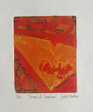 Gertie Mesker - Forme et Lumiere kopen? Bied vanaf 30!