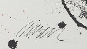 Arman - Litho, Ontwerp voor poster Amnesty International kopen? Bied vanaf 1!