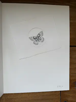 Jan van Winkel - Dambordje kopen? Bied vanaf 20!