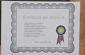 Yeroen Oosterman - 1998 - acrylverf op doek kopen? Bied vanaf 20!