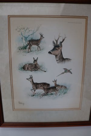 George Frederic Rotig - Cerf avec chevreuil et faisan kopen? Bied vanaf 50!