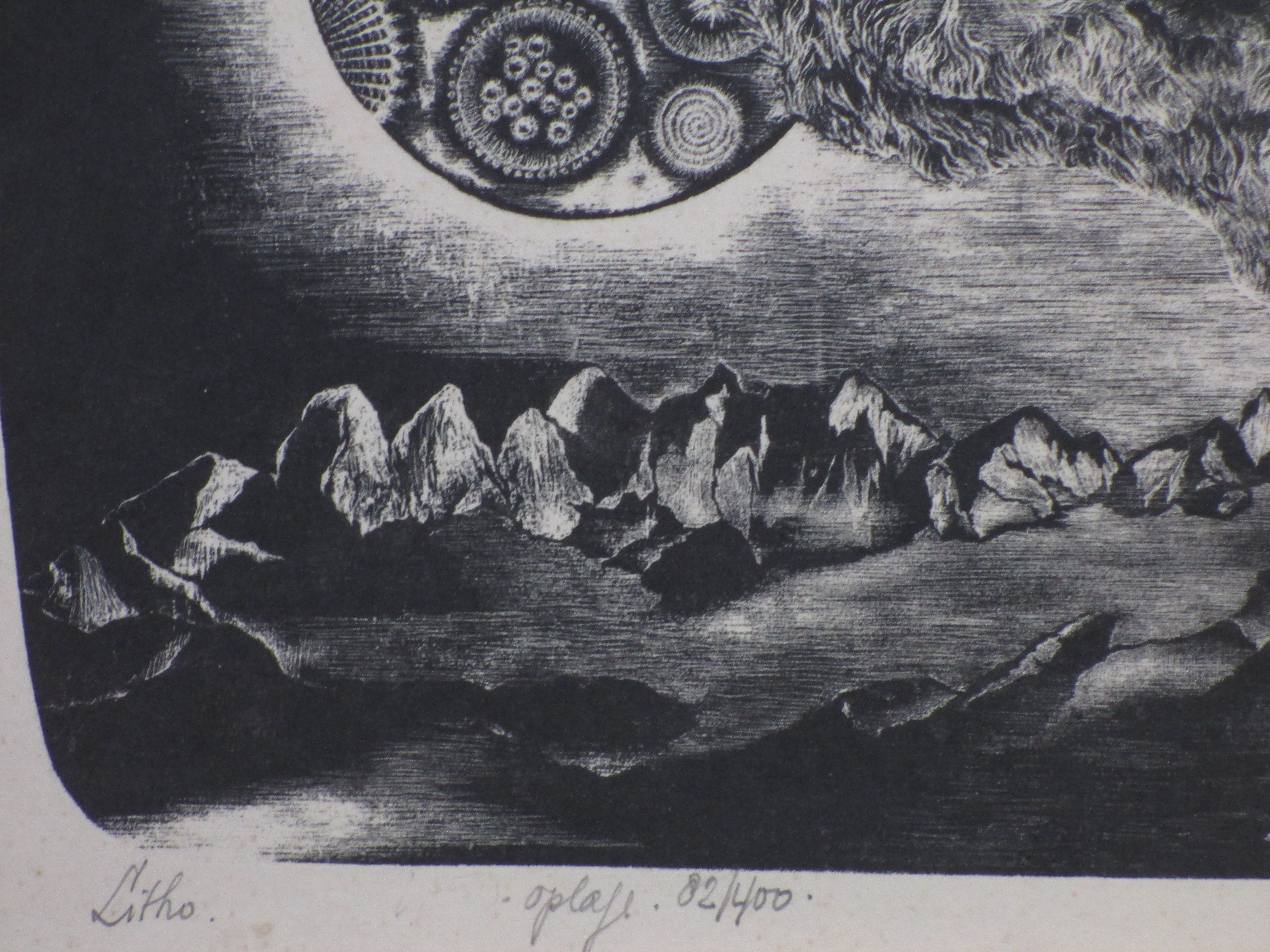 Fred Koot - Vogel in cosmisch landschap - Litho kopen? Bied vanaf 1!