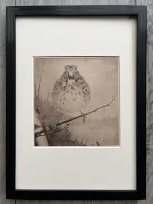 Jan Mankes - Originele Heliogravure Lijster op Tak 1923 kopen? Bied vanaf 185!