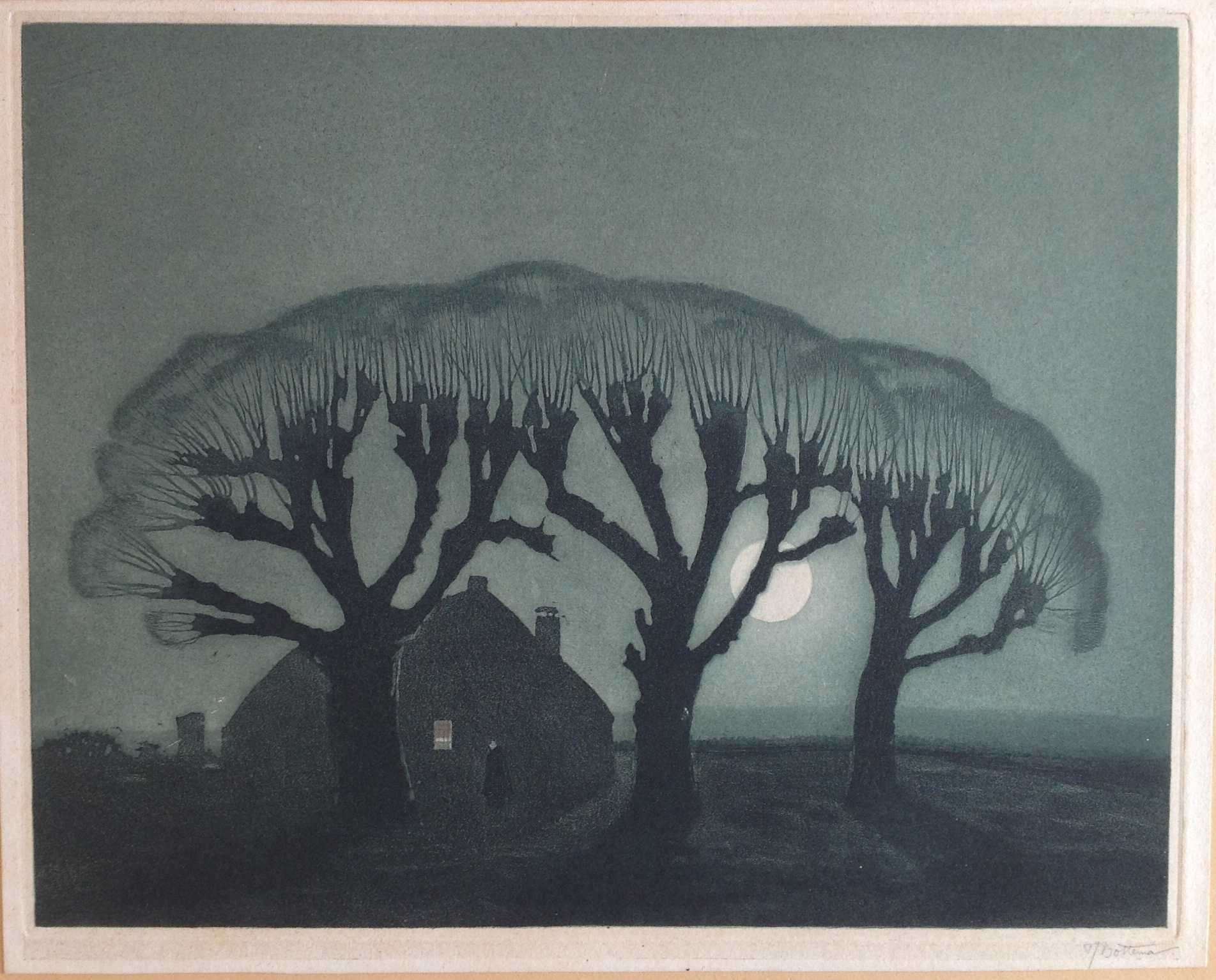 Tjeerd Bottema - Volle maan verkocht voor € 1!