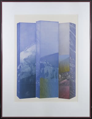 Martin Ware - Aquatint, Shaped Tuinlijck - Ingelijst kopen? Bied vanaf 35!