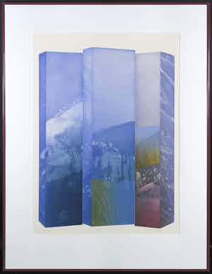 Martin Ware - Aquatint, Shaped Tuinlijck - Ingelijst verkocht voor € 35!