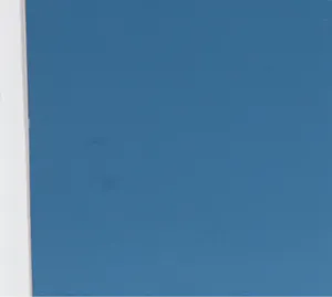 Wally Elenbaas - Zeefdruk, De vis kopen? Bied vanaf 80!