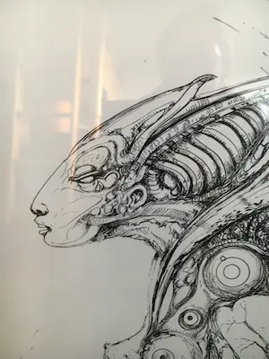 Roger van Belleghem - onbekend kopen? Bied vanaf 50!