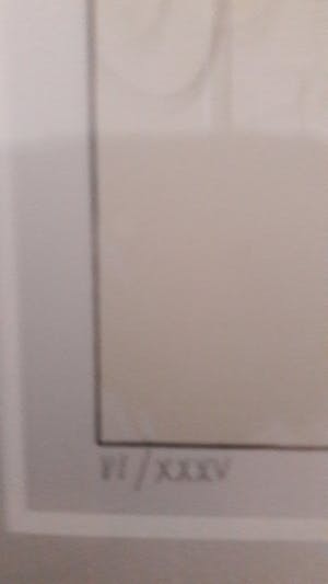 Jurjen Ravenhorst - Huis met twee manen kopen? Bied vanaf 75!