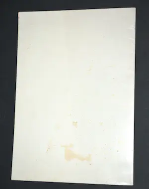 Werner Moonen - Azalay - gesigneerd boekwerk oplage 150 kopen? Bied vanaf 15!