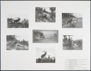 Martin Warnke - Ohne Titel, 1995 kopen? Bied vanaf 1!