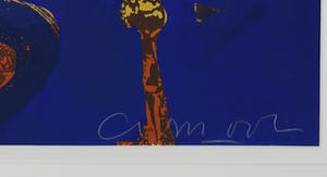 Cees Dolk - Zeefdruk, Dish II (Zeer groot) kopen? Bied vanaf 1!