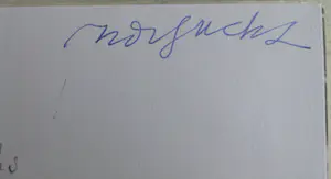 Georg Baselitz - Recent Paintings & Eine fotografishe Studie - Ex-bieb Rudi Fuchs kopen? Bied vanaf 60!