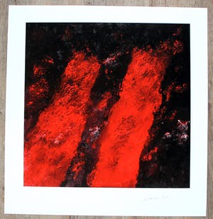 Armando - giclee: Die Bäume - 2014 (oplage 30 stuks) kopen? Bied vanaf 159!