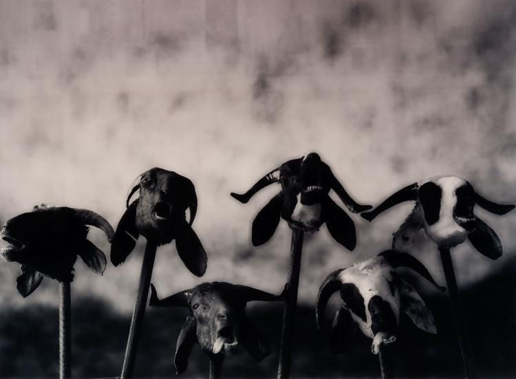 Paul Blanca - We know our people kopen? Bied vanaf 80!