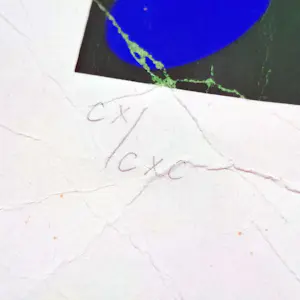 Victor Vasarely - zeefdruk - Compositie met Stippen - ingelijst - 26058 kopen? Bied vanaf 150!