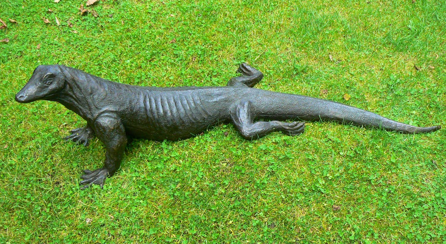 Peter Petersen - Komodo Varaan (uniek!) kopen? Bied vanaf 2895!