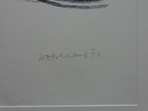 Theo Wolvecamp - THE FLAG / KLEURZEEFDRUK / 66x51cm / KADER / 1992 kopen? Bied vanaf 95!